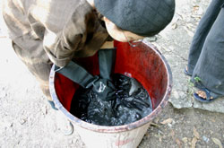 Ebony dyeing